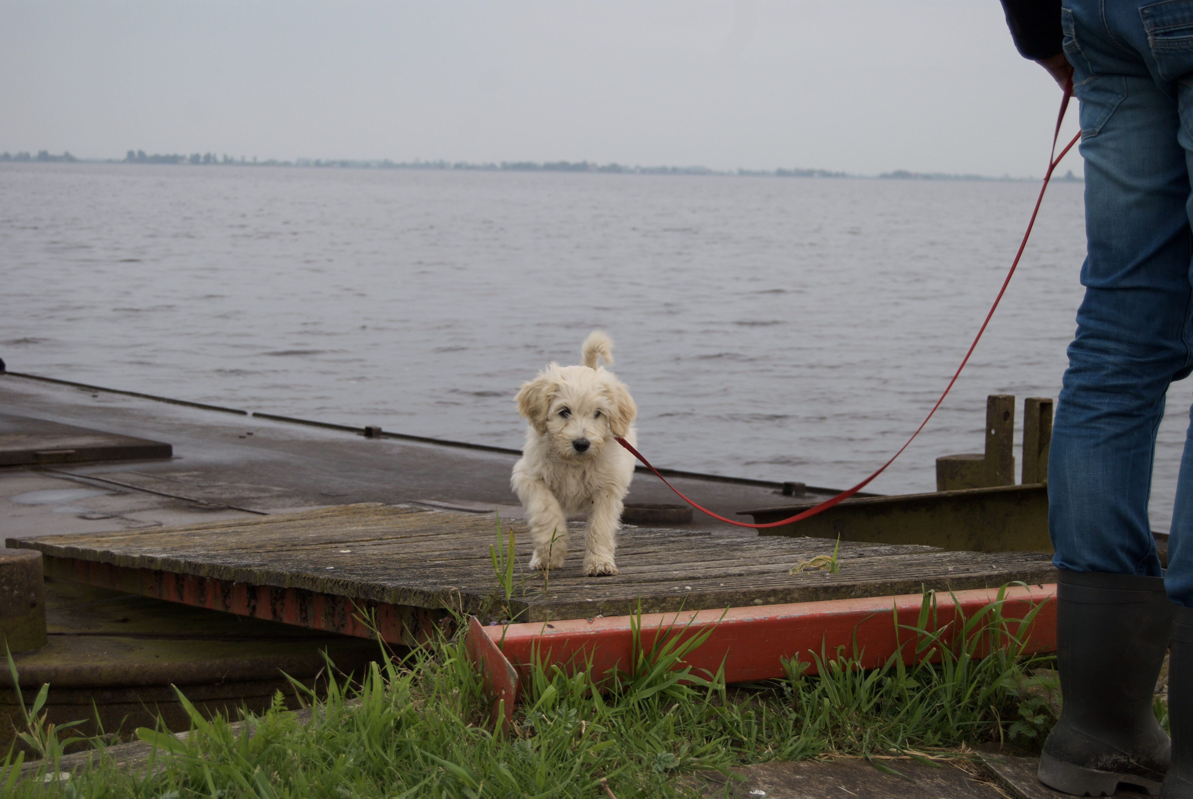 Snuffel Marieke - 2 (1)