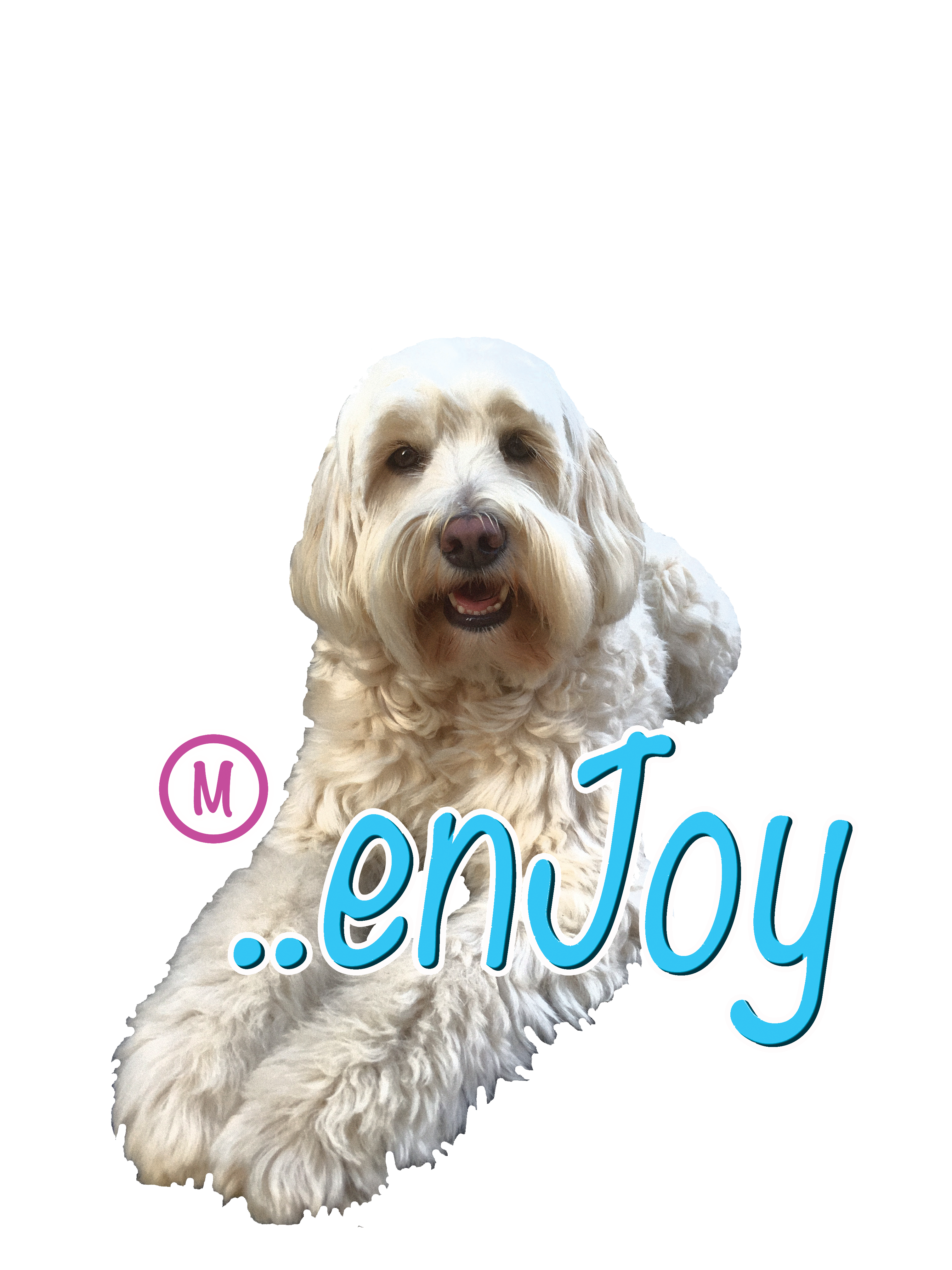 enJoy-logo-1