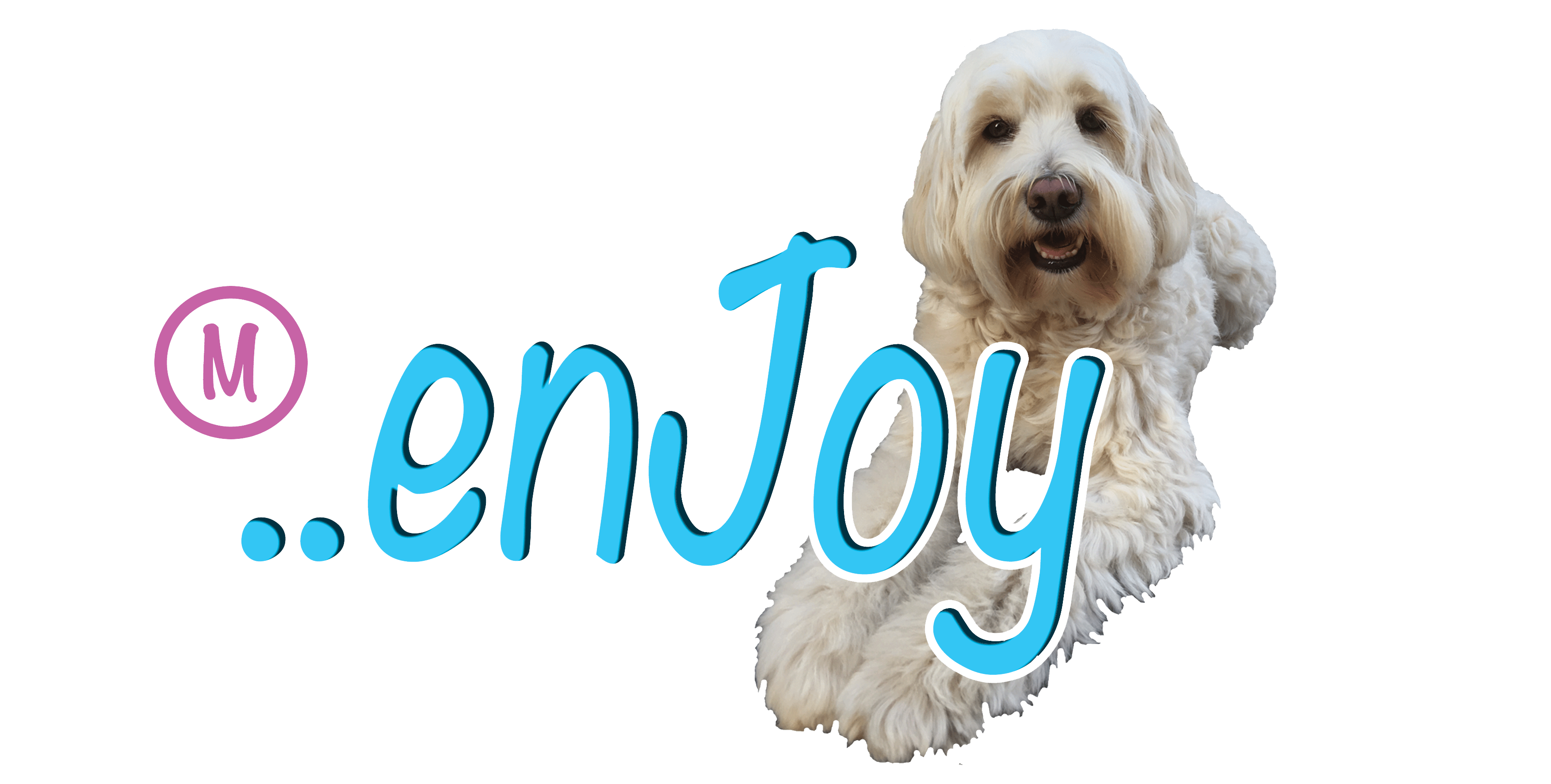 enJoy-logo-achter